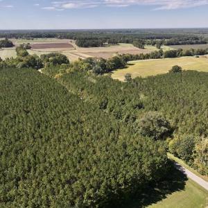 Photo #72 of Off Spring Hill Road & Off Hwy 561, Scotland Neck, NC 588.4 acres