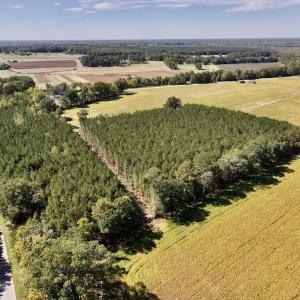 Photo #73 of Off Spring Hill Road & Off Hwy 561, Scotland Neck, NC 588.4 acres
