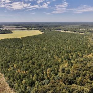 Photo #76 of Off Spring Hill Road & Off Hwy 561, Scotland Neck, NC 588.4 acres