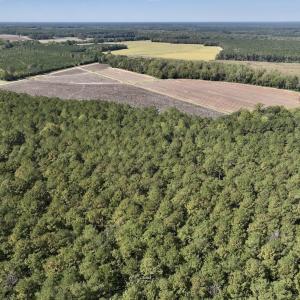 Photo #79 of Off Spring Hill Road & Off Hwy 561, Scotland Neck, NC 588.4 acres