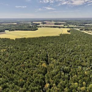 Photo #80 of Off Spring Hill Road & Off Hwy 561, Scotland Neck, NC 588.4 acres
