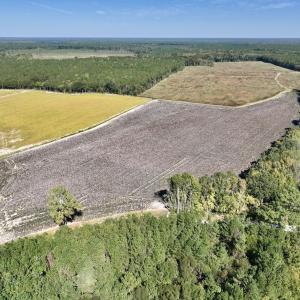 Photo #82 of Off Spring Hill Road & Off Hwy 561, Scotland Neck, NC 588.4 acres