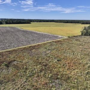 Photo #84 of Off Spring Hill Road & Off Hwy 561, Scotland Neck, NC 588.4 acres