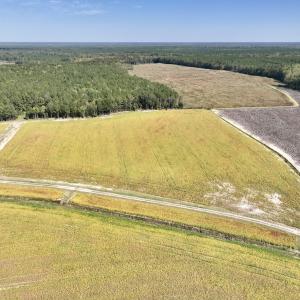 Photo #86 of Off Spring Hill Road & Off Hwy 561, Scotland Neck, NC 588.4 acres