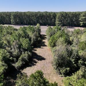 Photo #12 of Off W Wards Bridge Rd, Warsaw, NC 60.8 acres