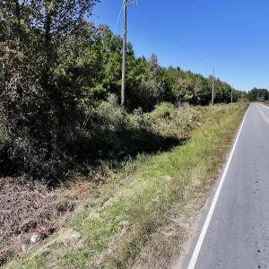 Photo #17 of Off W Wards Bridge Rd, Warsaw, NC 60.8 acres