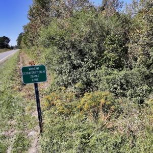 Photo #18 of Off W Wards Bridge Rd, Warsaw, NC 60.8 acres