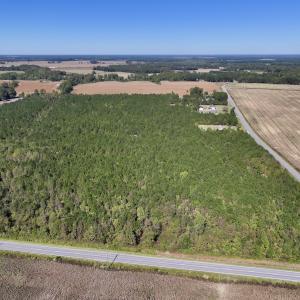Photo #2 of Off W Wards Bridge Rd, Warsaw, NC 60.8 acres