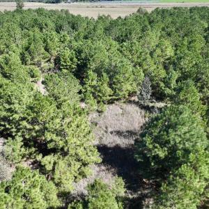 Photo #20 of Off W Wards Bridge Rd, Warsaw, NC 60.8 acres