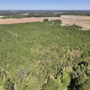 Photo #3 of Off W Wards Bridge Rd, Warsaw, NC 60.8 acres