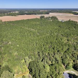 Photo #4 of Off W Wards Bridge Rd, Warsaw, NC 60.8 acres