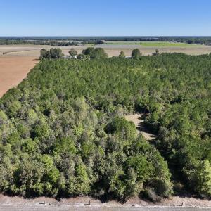 Photo #6 of Off W Wards Bridge Rd, Warsaw, NC 60.8 acres