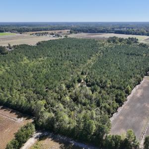 Photo #7 of Off W Wards Bridge Rd, Warsaw, NC 60.8 acres