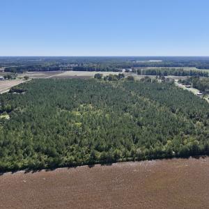 Photo #8 of Off W Wards Bridge Rd, Warsaw, NC 60.8 acres