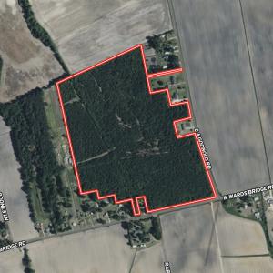 Photo #31 of Off W Wards Bridge Rd, Warsaw, NC 60.8 acres