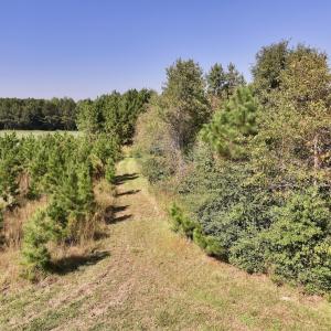 Photo #11 of Off of Earnest Loftin Road, Ayden, NC 43.6 acres