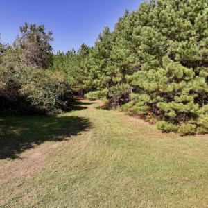 Photo #12 of Off of Earnest Loftin Road, Ayden, NC 43.6 acres