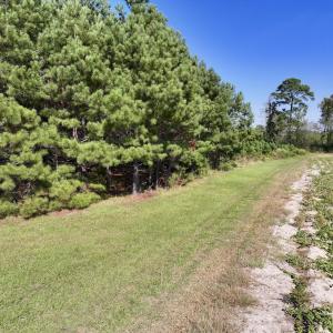 Photo #13 of Off of Earnest Loftin Road, Ayden, NC 43.6 acres
