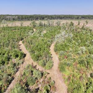 Photo #19 of Off of Earnest Loftin Road, Ayden, NC 43.6 acres