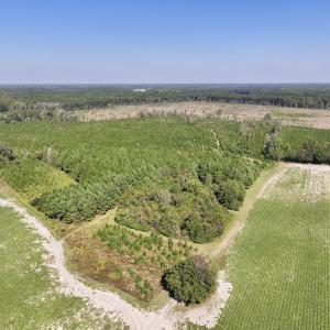Photo #1 of Off of Earnest Loftin Road, Ayden, NC 43.6 acres