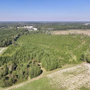 Photo #2 of Off of Earnest Loftin Road, Ayden, NC 43.6 acres