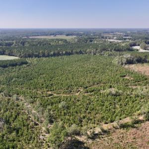 Photo #4 of Off of Earnest Loftin Road, Ayden, NC 43.6 acres