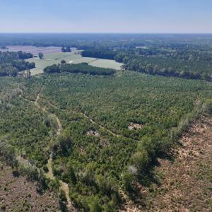 Photo #6 of Off of Earnest Loftin Road, Ayden, NC 43.6 acres
