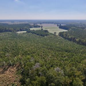 Photo #7 of Off of Earnest Loftin Road, Ayden, NC 43.6 acres