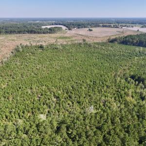 Photo #9 of Off of Earnest Loftin Road, Ayden, NC 43.6 acres