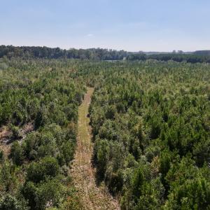 Photo #21 of Off of Earnest Loftin Road, Ayden, NC 43.6 acres