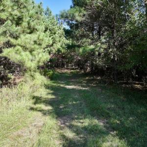Photo #28 of Off of Earnest Loftin Road, Ayden, NC 43.6 acres