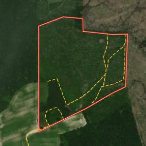 Photo #31 of Off of Earnest Loftin Road, Ayden, NC 43.6 acres