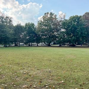 Photo #37 of 301 Upton St, Winston-Salem, NC 0.3 acres