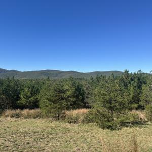 Photo #10 of  Off of Secretarys Sand Rd, Schuyler, VA 6.9 acres
