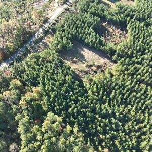 Photo #11 of  Off of Secretarys Sand Rd, Schuyler, VA 6.9 acres