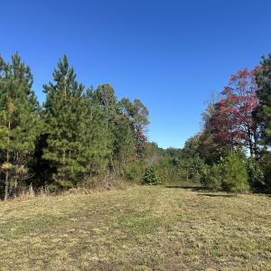 Photo #13 of  Off of Secretarys Sand Rd, Schuyler, VA 6.9 acres
