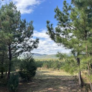 Photo #5 of  Off of Secretarys Sand Rd, Schuyler, VA 6.9 acres