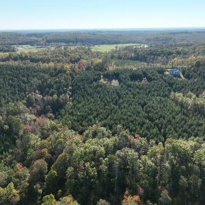 Photo #6 of  Off of Secretarys Sand Rd, Schuyler, VA 6.9 acres