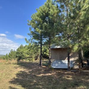 Photo #7 of  Off of Secretarys Sand Rd, Schuyler, VA 6.9 acres