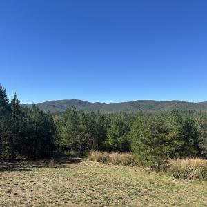 Photo #2 of  Off of Secretarys Sand Rd, Schuyler, VA 6.9 acres