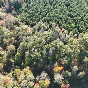 Photo #17 of  Off of Secretarys Sand Rd, Schuyler, VA 6.9 acres