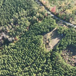 Photo #18 of  Off of Secretarys Sand Rd, Schuyler, VA 6.9 acres