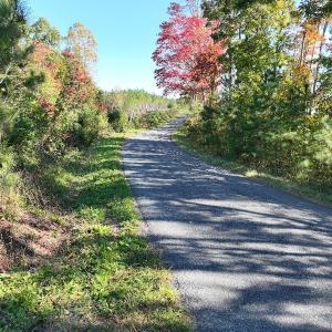 Photo #19 of  Off of Secretarys Sand Rd, Schuyler, VA 6.9 acres