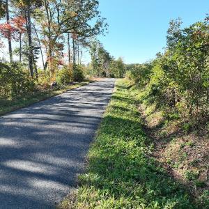 Photo #20 of  Off of Secretarys Sand Rd, Schuyler, VA 6.9 acres