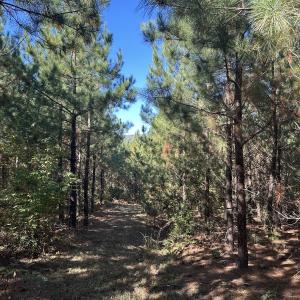 Photo #22 of  Off of Secretarys Sand Rd, Schuyler, VA 6.9 acres