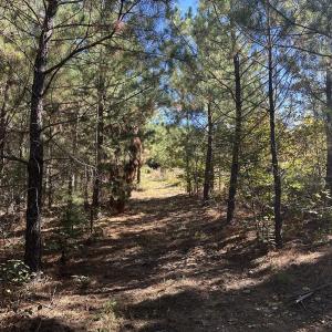 Photo #23 of  Off of Secretarys Sand Rd, Schuyler, VA 6.9 acres