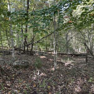 Photo #25 of  Off of Secretarys Sand Rd, Schuyler, VA 6.9 acres