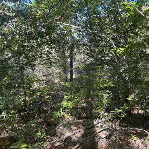 Photo #26 of  Off of Secretarys Sand Rd, Schuyler, VA 6.9 acres