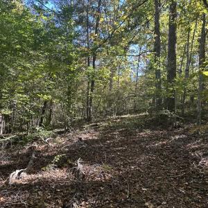 Photo #27 of  Off of Secretarys Sand Rd, Schuyler, VA 6.9 acres