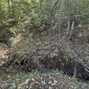 Photo #28 of  Off of Secretarys Sand Rd, Schuyler, VA 6.9 acres